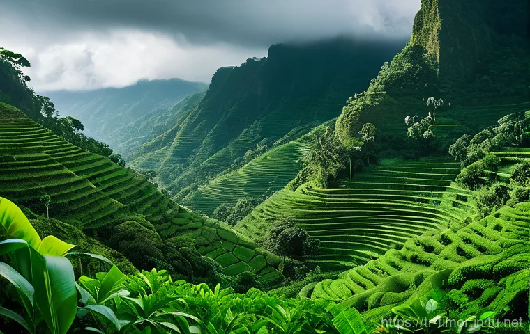 동티모르의 우기와 건기 - A panoramic view of the lush, emerald green mountains of East Timor during the rainy season. In the ...