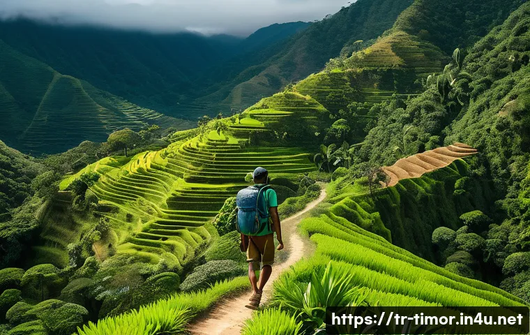 Doğu Timor Göçmenlik Sırları Bilmeniz Gereken Şaşırtıcı Detaylar 4 동티모르 이민 정책 관련 이미지 2