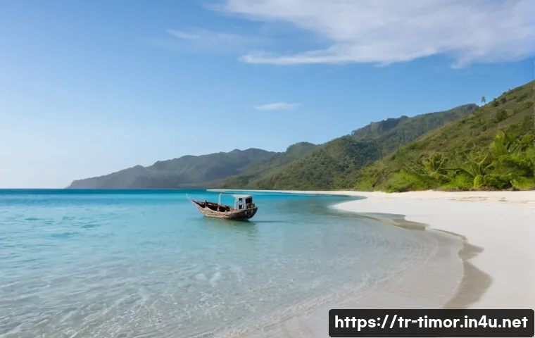 동티모르 여권 발급 절차 - **Prompt:** A serene, wide-angle shot of an adult individual (gender neutral) standing on a pristine...